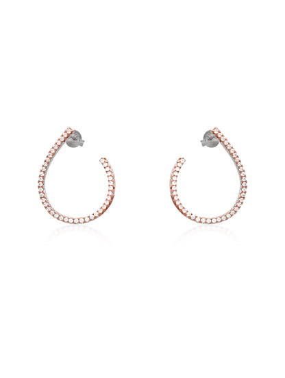 Brilliant Zircon Beauties Earring